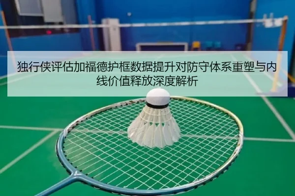 独行侠评估加福德护框数据提升对防守体系重塑与内线价值释放深度解析